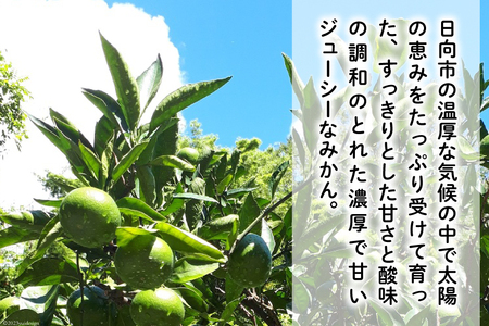 【期間限定発送】踊るおいしさ！甘くてジューシー 温州みかん 5kg [奈須農園 宮崎県 日向市 452061477]