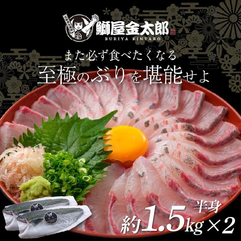 宮崎産 新海屋 鰤屋金太郎 金太郎 ぶり フィレ 約1.5kg×2枚　冷蔵　N018-ZB720_1