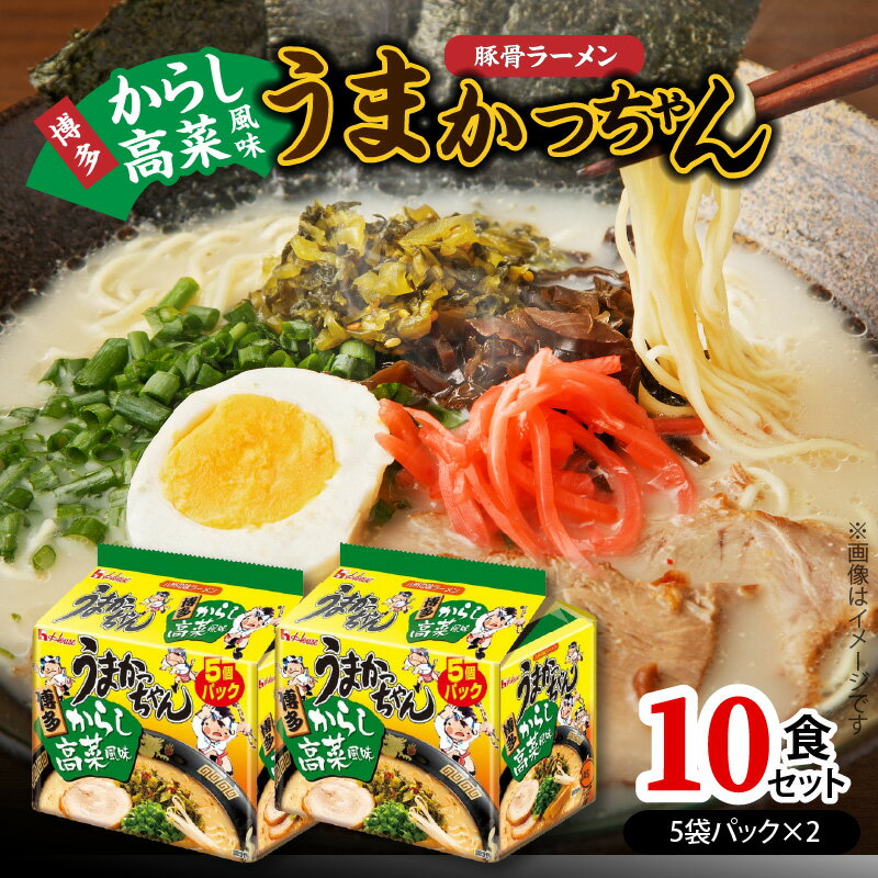 【ふるさと納税】豚骨ラーメン うまかっちゃん 博多からし高菜風味 5袋パック × 2セット 計 10食 九州の味 からし高菜 風味 辛味 とんこつ ラーメン スープ インスタントラーメン 袋麺 ご当地ラーメン 即席ラーメン 福岡県 上毛町 送料無料