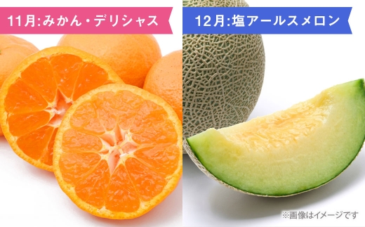【 6ヶ月連続定期便 】 熊本の旬のフルーツお届け便 （ 7月上旬?12月下旬 ・ 年6回コース ） 果物 フルーツ ピオーネ シャインマスカット 栗 太秋柿 みかん デリシャス 塩アールスメロン 果