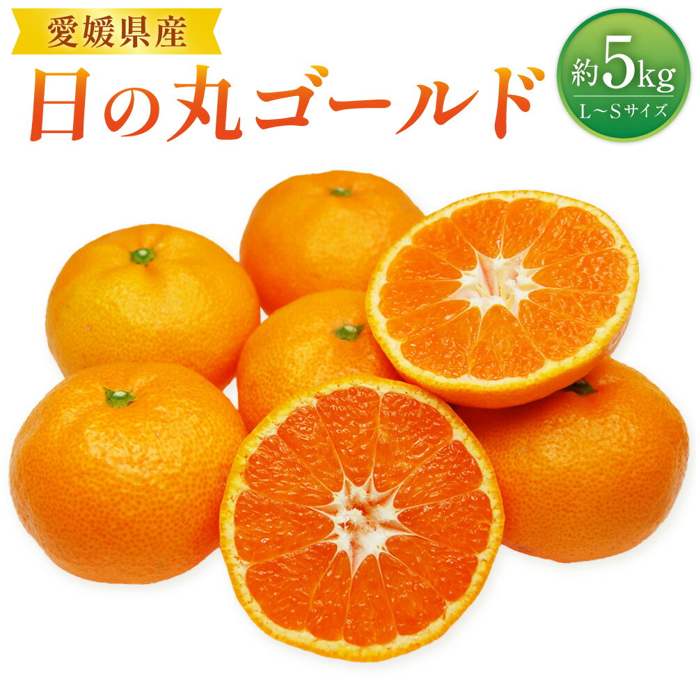 【ふるさと納税】みかん 日の丸ゴールド L～Sサイズ 約5kg みかん ミカン 蜜柑 柑橘 フルーツ 果物 果物 くだもの 宇和 お取り寄せ デザート おやつ 常温 送料無料 【2025年11月下旬～2025年12月下旬発送予定】(519)