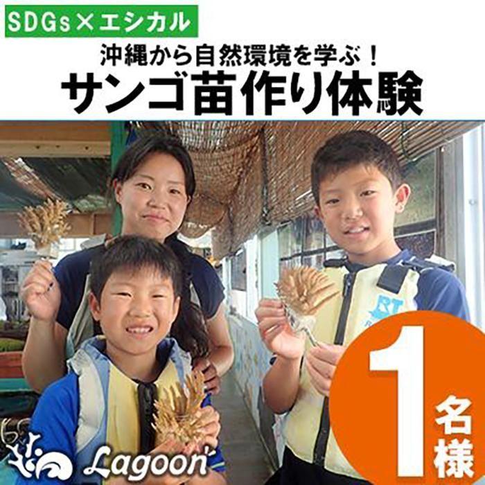 【ふるさと納税】チケット サンゴ苗作り体験 ｜ 「1名」「2名または1名×2株」沖縄サンゴの村【恩納村ラグーン】 | 券 チケット ダイビング 体験 アクティビティ リゾート ふるさと納税 万座 恩納村 沖縄人気 おすすめ 送料無料