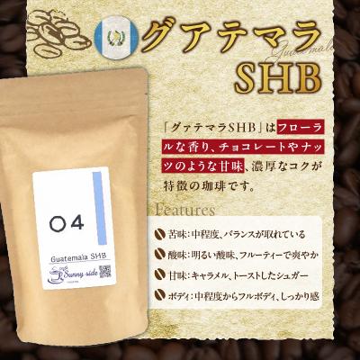 ふるさと納税 小牧市 自家焙煎珈琲グァテマラSHB(300g)(豆のまま)　[137S12-01] |  | 02