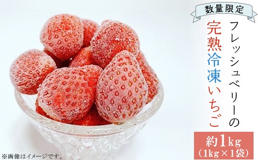 
                  完熟冷凍いちご 約1kg ＜数量限定！！＞ フレッシュベリーの完熟冷凍いちご！大中小サイズ混合約１kg やよいひめ・かおり野・紅ほっぺ・もういっこ ≪イチゴ 苺 ジャム ヨーグル… ｜いちご 苺 フルーツ 果物 旬 産地直送 群馬県 玉村町
                