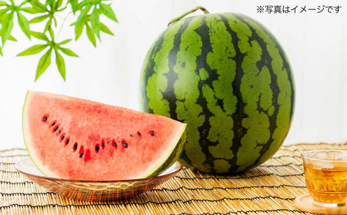 
            【先行予約】大玉 スイカ　1玉（約7〜9kg）　【中島農園】 [AYCX001]
          