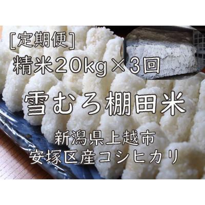 ふるさと納税 上越市 【毎月定期便】雪むろ棚田米コシヒカリ20kg(10kg×2袋)精米-新潟県上越市安塚区産-全3回