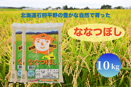 北海道奈井江町　ななつぼし　10kg