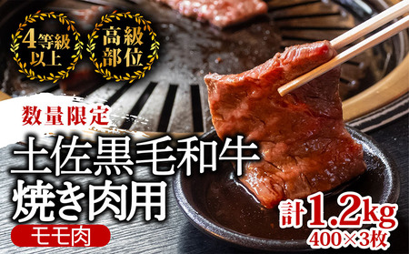 土佐 黒毛 和牛 焼肉用1.2kg （ 600g × 2パック ） | 特撰 モモ肉 最上位等級 A4 A5 最高ランク 1kg 以上 贅沢 焼き肉 やきにく 小分け 冷凍 国産 ブランド 和牛 牛肉 大人気 ギフト リピート リピーター おすすめ ランキング おいしい 限定 高評価 BBQ バーベキュー キャンプ アウトドア 高知県 須崎　和牛牛肉焼肉焼き肉和牛牛肉焼肉焼き肉和牛牛肉焼肉焼き肉和牛牛肉焼肉焼き肉和牛牛肉焼肉焼き肉和牛牛肉焼肉焼き肉和牛牛肉焼肉焼き肉和牛牛肉焼肉焼き肉和牛牛肉焼肉焼き肉和牛牛