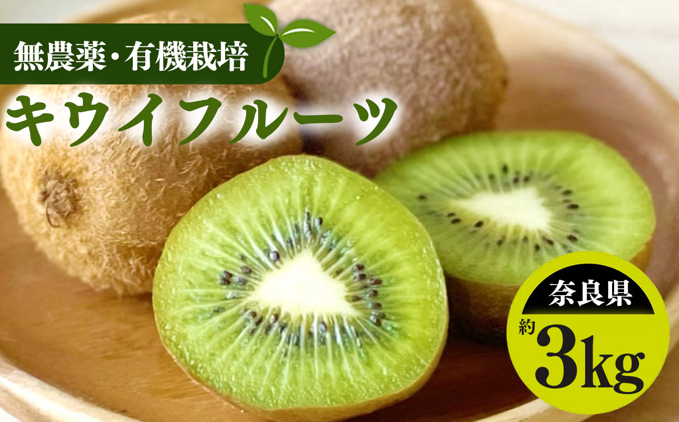 
            生命の農法（無化学農薬・無化学肥料栽培）キウイフルーツ（約3kg）キウイ　フルーツ　キウイフルーツ | フルーツ くだもの 果物  キウイフルーツ 奈良県 五條市 
          