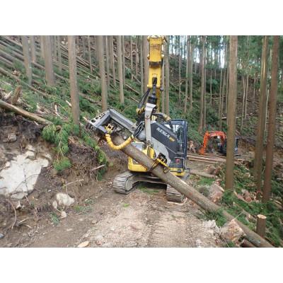 ふるさと納税 印南町 【和歌山県印南町産】木製のバスケット　1セット |  | 03