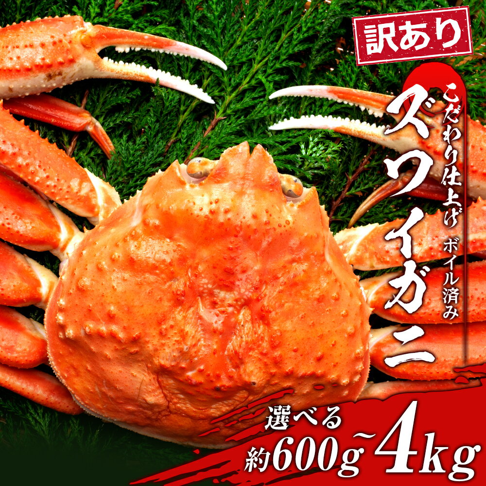 【ふるさと納税】訳あり ズワイガニ 姿 ボイル 済 冷凍 選べる約600g～4kg 1尾～5尾 ずわい 蟹 カニずわいがに ズワイガニ ずわい蟹 ずわいガニ ズワイかに ずわいカニ 蟹 姿 カニ ボイル ズワイ姿 北海道ふるさと納税 白老 ふるさと納税 北海道 年末