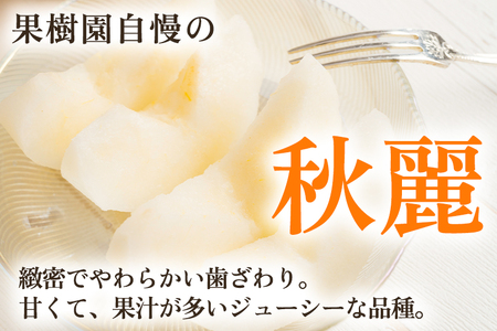 【2026年先行予約】新潟県産 厳選 秋麗梨 5kg（10～14玉）《8月中旬以降発送》果物 フルーツ しゅうれい 日本梨 にほんなし 加茂市 いたみ果樹園 