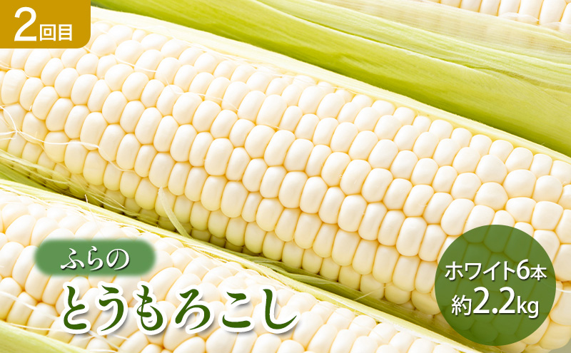 【2026年春～秋発送】定期便 3ヵ月 初夏の彩り満喫 野菜セッ