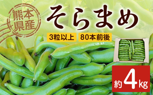 熊本県産 そらまめ 約4kg 3粒以上 80本前後 野菜 豆類 そら豆 【2026年4月上旬-4月下旬迄発送予定】