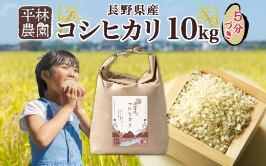 
            令和6年産 コシヒカリ 5分づき米 10kg×1袋 長野県産 米 お米 ごはん ライス 分つき米 農家直送 産直 信州 人気 ギフト お取り寄せ 平林農園 送料無料 長野県 大町市
          