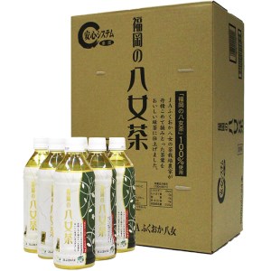 M26-01 福岡の八女茶 煎茶ペットボトル(24本)
