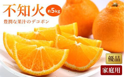 
                  【2027年2月上旬から発送】 不知火 しらぬい ＜家庭用・優品＞ 約5kg | みかん 柑橘 ミカン フルーツ 果物 デコポン でこぽん と同品種 愛媛県 松山市
                