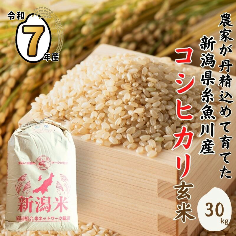 【ふるさと納税】コシヒカリ 玄米 30kg（精米不可）《令和7年産》米 玄米 新潟県産 コシヒカリ 玄米 30kg 2025年産 新潟県 糸魚川市 精米対応不可 1等米 木島米穀店