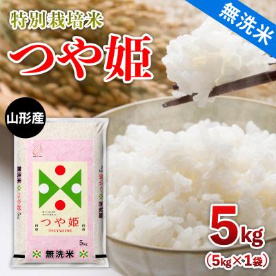 ふるさと納税 山形市 山形産 【無洗米】 特別栽培米 つや姫 5kg FZ26-904