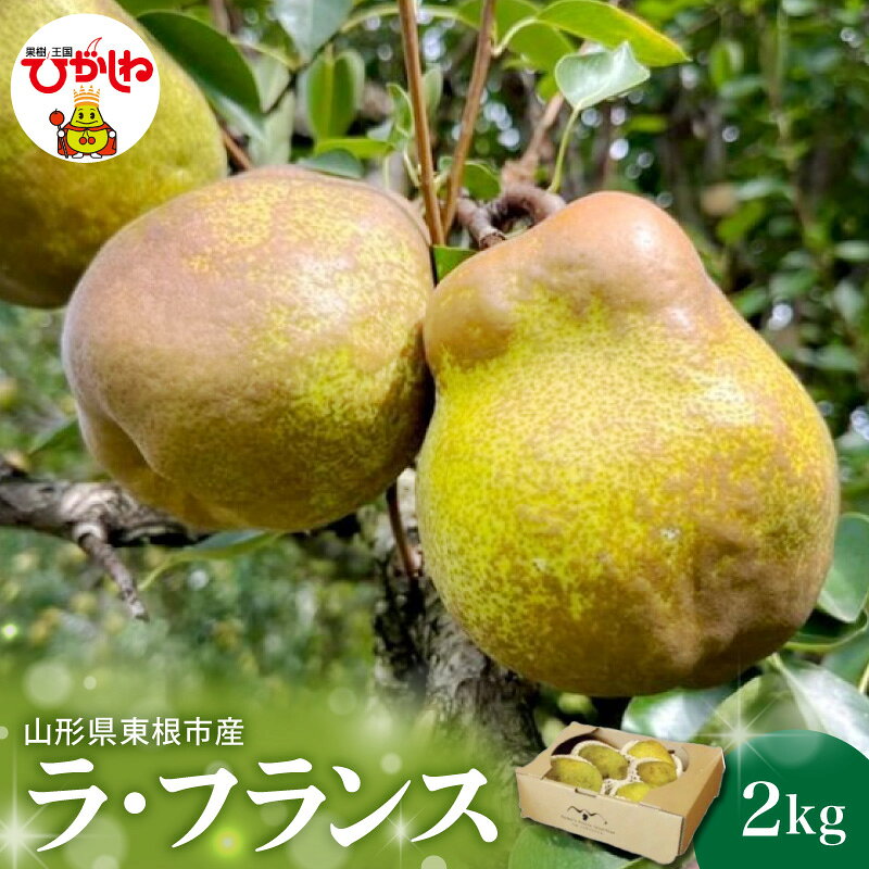 【ふるさと納税】【 2026年産 】 西洋梨 ラ・フランス 2kg | ラフランス 洋梨 梨 洋なし 洋ナシ フルーツ 果物 くだもの 特産 産地直送 期間限定 常温配送 先行予約 ギフト 贈答 贈り物 お取り寄せ グルメ 2キロ 秋 旬 人気 おすすめ 送料無料 山形県 東根市