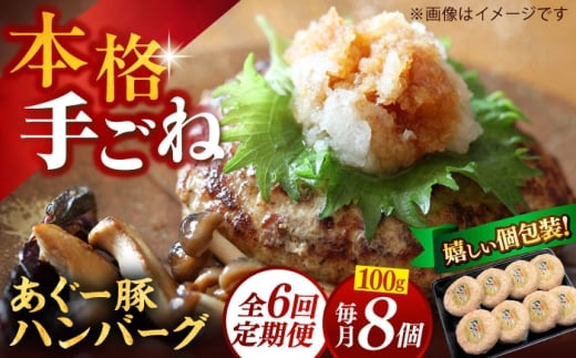 ハンバーグ あぐー豚100% 800g (100g×8個) 【全6回定期便】 個包装 沖縄県産あぐー豚100% 手ごね ハンバーグ 8個 はんばーぐ 6回 定期便 あぐー豚 ハンバーグ 冷凍 小分け ハンバーグ 定期便 はんばーぐ あぐー豚ハンバーグ ギフト お取り寄せ 沖縄市 / お肉屋本店 [BCAZ010]