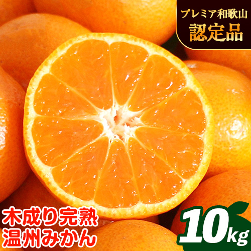 木成り完熟 温州 みかん ミックスサイズ 10kg まるまつ農園《12月上旬-1月末頃より出荷》 和歌山県 日高川町 温州みかん みかん 完熟