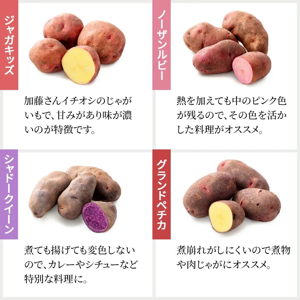 2026年産 先行予約 北海道産 カラフルじゃがいも 3種セット 計6kg 上士幌町加藤農場 馬鈴薯 芋 イモ 野菜 詰め合わせ　◆2026年12月配送予定