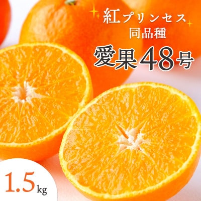 【2026年発送】甘平×まどんな「紅プリンセス」と同品種!愛媛果試48号1.5kg【C25−211】【1612661】