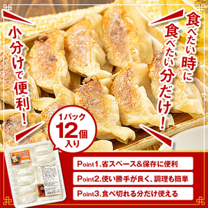 【A43086】＜定期便・全3回＞ 餃子 黒豚 ギョーザ 計180個 (12個入×5パック×3回) 冷凍 ぎょうざ たれ付き【財宝】