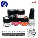 【ふるさと納税】 Melty Gel トライアルキット ( スマート LEDライト 付) / ジェルネイル クリアジェル ベースジェル ノンサンディング イクステンションジェル 長さ出し アートジェル トップコート トップジェル ノンワイプ 初心者 セルフ 日用品 爪 大阪府 吹田市