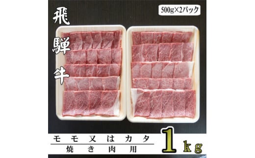 
A5ランク飛騨牛赤身肉焼き肉用1kg(モモ又はカタ)【1307435】
