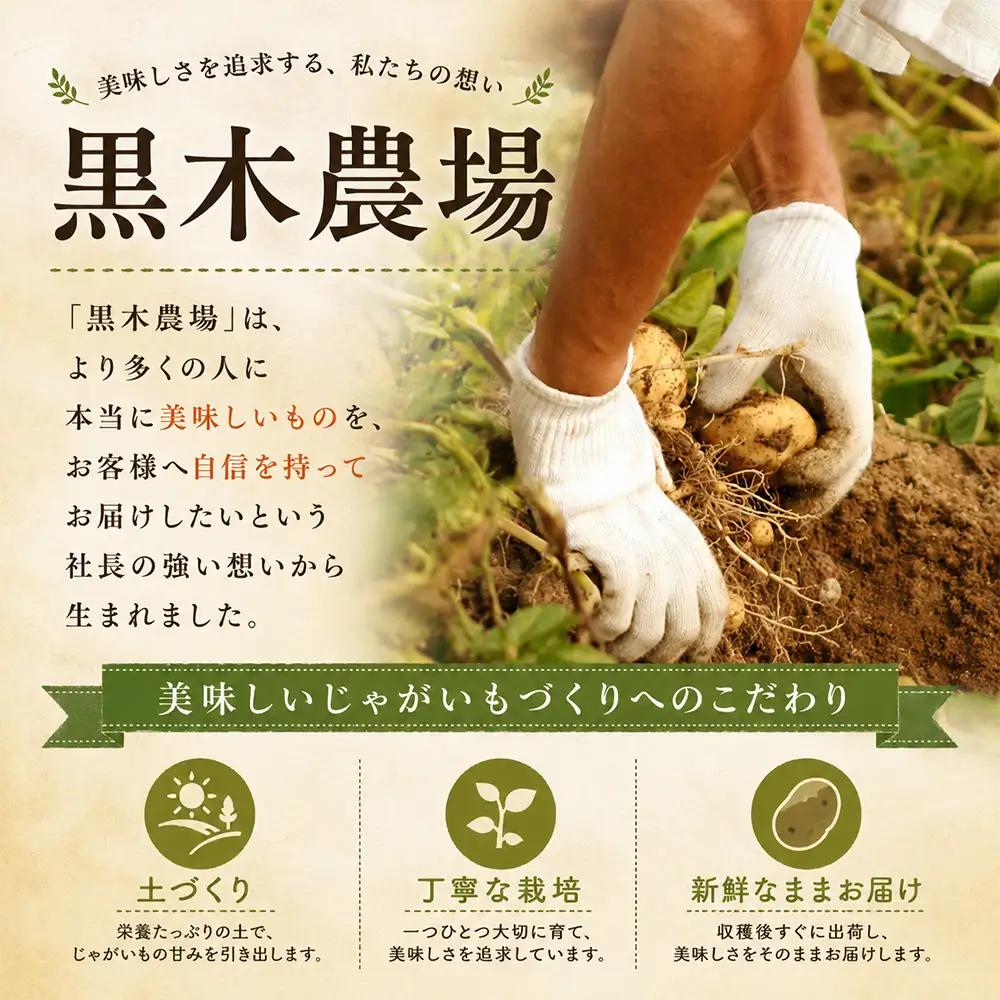 じゃがいも 【令和8年産予約受付】北海道 北あかり5kg じゃがいも [006-29]