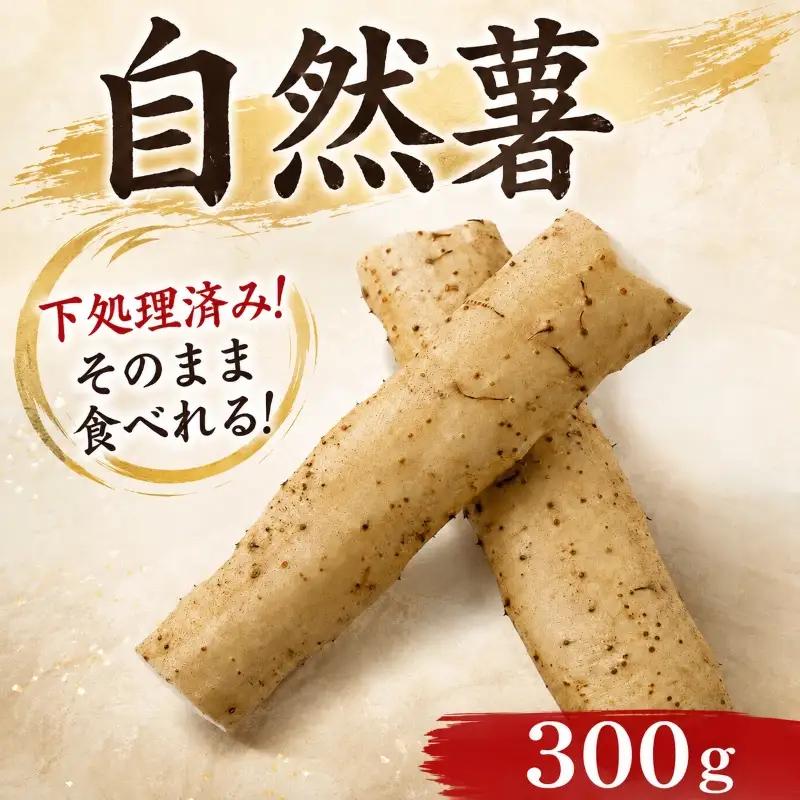 【7日以内発送】 自然薯 300g とろろ じねんじょ 【自然薯】 尾白弁当