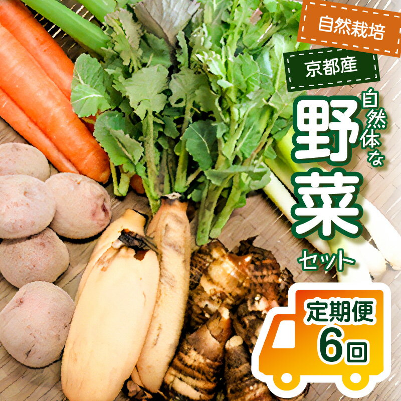 【ふるさと納税】《レビューキャンペーン》＜京都産野菜定期便6回＞自然体な野菜セット