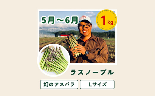 【令和9年産 先行予約】野菜 定期便 5回便 美瑛の四季～唐松（小）～ 美瑛米 アスパラ とうもろこし じゃがいも 玉ねぎ