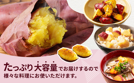 さつまいも 約5kg 紅はるか 加工用 サツマイモ