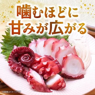 ふるさと納税 泉佐野市 洗い泉州タコ1kg ボイル 蒸し たこ 酢の物 |  | 01