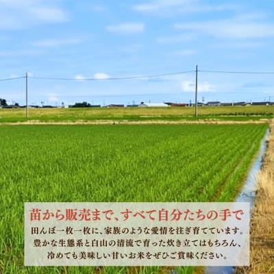 ふるさと納税 小松市 【先行予約】【3ヶ月定期便】令和8年産 石川県産コシヒカリ 精米 計10kg(10kg×1袋)×3回 |  | 02