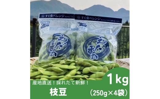 画像はイメージです。
※品種の指定は受け付けていません。