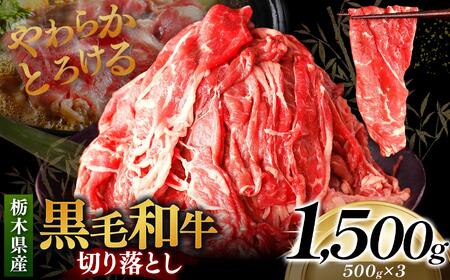 栃木県産黒毛和牛切り落とし 1500g｜数量限定 黒毛 和牛 牛肉 国産牛 国産 ブランド牛 お肉 切り落とし サシ 霜降り 甘い ステーキ すき焼き しゃぶしゃぶ 焼肉 切落し 上品 アレンジ 美味しい 料理 主婦 とちぎ  栃木県 矢板市