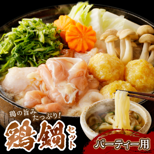 【鍋が恋しい寒い季節にお届け】京都・京丹後の若鶏と九条ネギの鶏鍋セット（パーティー用セット）　鶏肉 とりにく 国産 とり肉 ももにく もも肉 モモ肉 むねにく ムネ肉 詰め合わせ 鶏鍋 とりなべ とり鍋 鳥なべ ギフト 鍋セット チキン