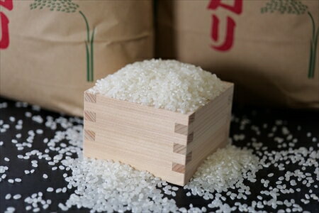 【ふるさと納税】特別栽培米 白米 5kg x 2袋