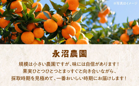【お中元対象】自分へのご褒美やプレゼントに♪永沼農園のみかんジュースセット（温州ミカン 720ml×6本）　愛媛県大洲市/永沼農園[AGAW008]みかんジュースミカンジュース果物みかんジュースミカン