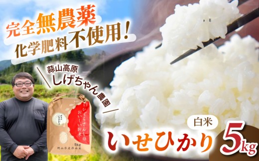 
                  【令和8年産：先行予約】米 完全無農薬・化学肥料不使用 いせひかり5kg 蒜山高原しげちゃん農園 / 米 白米 無農薬 新米 岡山県 真庭市 蒜山【hsig005-02】
                
