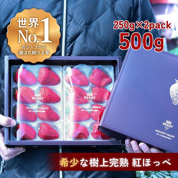 【ふるさと納税】【完熟クラフト苺BERRY】有名シェフ御用達【樹上完熟紅ほっぺ】約500g（出荷2025年12月上旬～2026年5月下旬） | 食品 加工食品 人気 おすすめ 送料無料