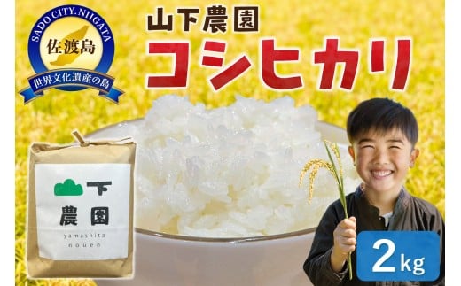 
            山下農園 令和7年産 佐渡産コシヒカリ2kg
          