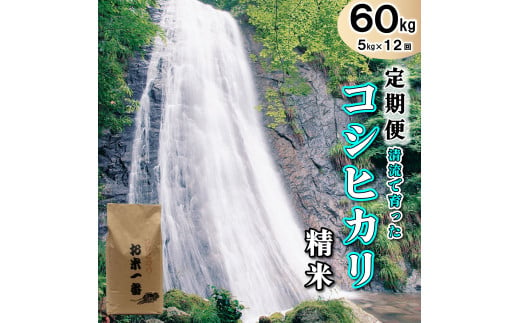 【定期便】多可町加美区の清流で育ったコシヒカリ【精米】５kg×12か月[833]