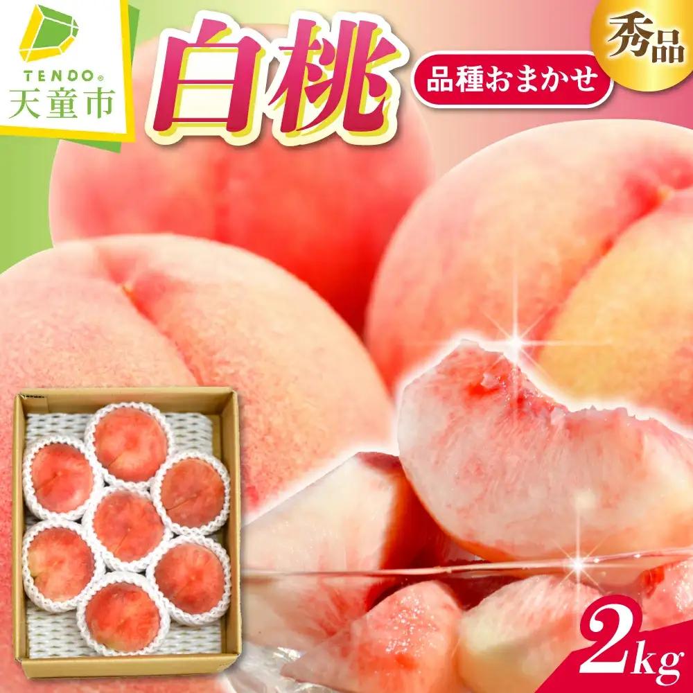 白桃 品種 おまかせ 2kg フルーツ 果物 山形 桃