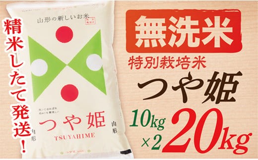 【令和8年産予約】【無洗米】山形県産つや姫20kg(10kg×2袋)