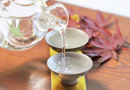 【人気の美酒】 豊盃 こぎん刺し模様（山田錦） 純米大吟醸 1,800ml（27-1）